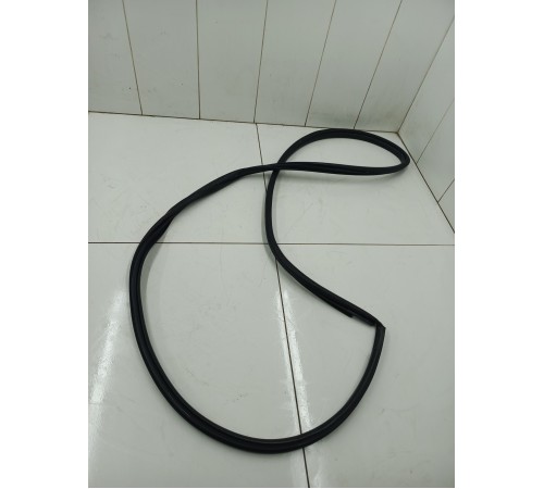 Уплотнитель дверного проёма задний левый