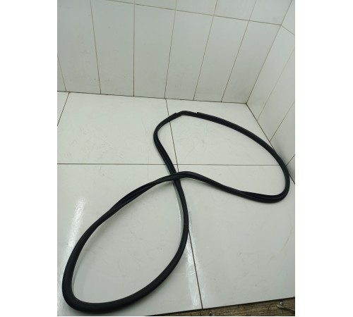 Уплотнитель дверного проёма задний левый