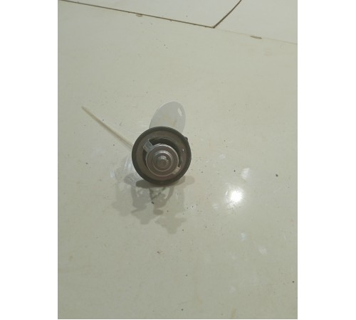 Термоэлемент термостата