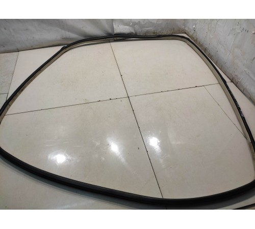 Уплотнитель двери (передний, левый)