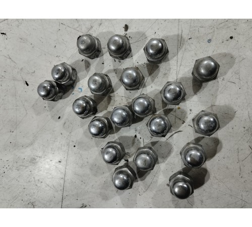 Комплект колесных гаек (20 шт.)