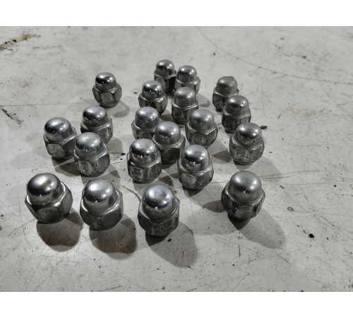 Комплект колесных гаек (20 шт.)