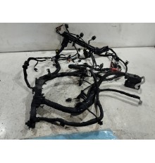 Электропроводка двигателя моторная