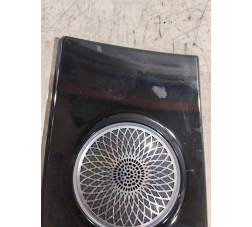 Накладка обшивки двери с динамиком задняя правая