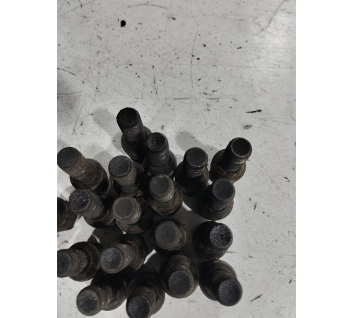 Комплект колесных болтов(20 шт)