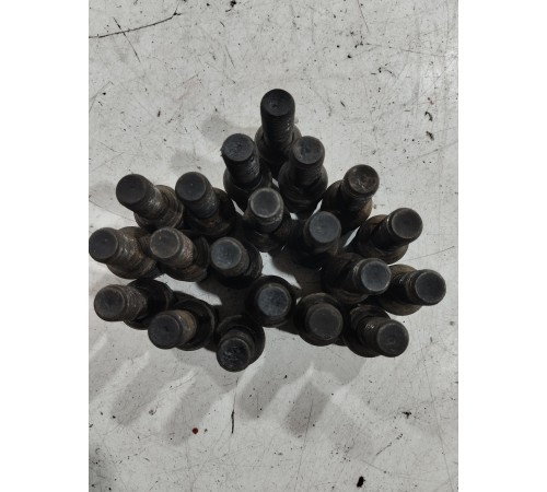 Комплект колесных болтов(20 шт)