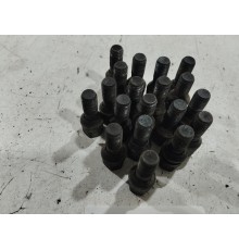 Комплект колесных болтов(20 шт)