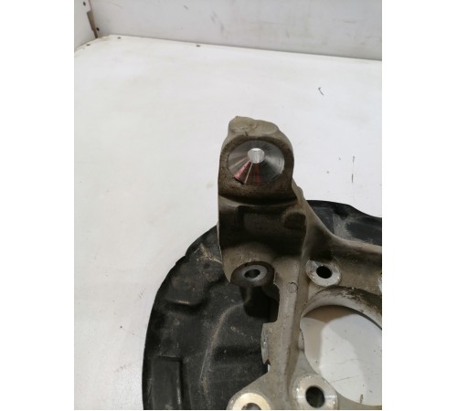 Кулак задний левый, цапфа