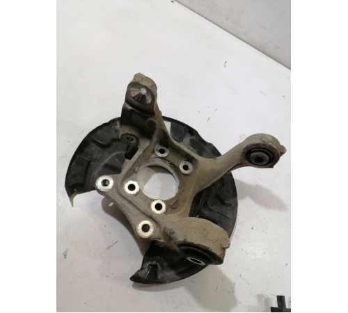 Кулак задний левый, цапфа