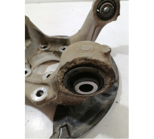 Кулак задний левый, цапфа