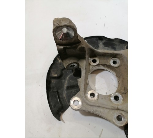 Кулак задний левый, цапфа