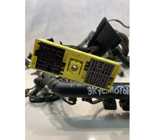 Проводка моторная