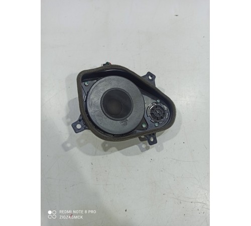 Динамик торпедо