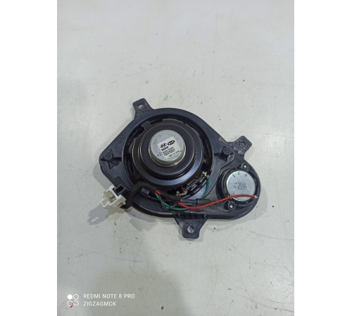 Динамик торпедо