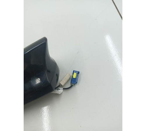 Антенна (плавник)