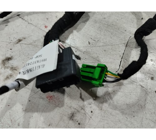 Электропроводка обшивки двери (задняя правая)