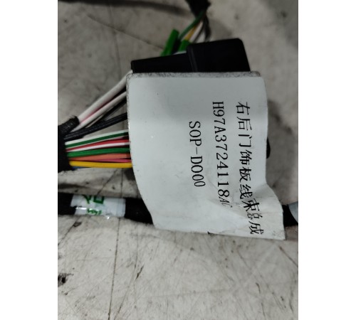 Электропроводка обшивки двери (задняя правая)