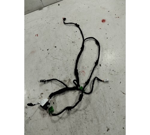 Электропроводка обшивки двери (задняя правая)