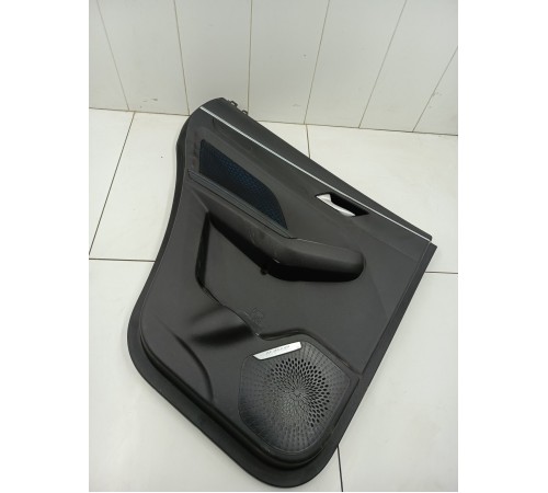 Обшивка двери задняя левая