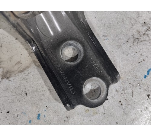 Петля двери передняя правая нижняя