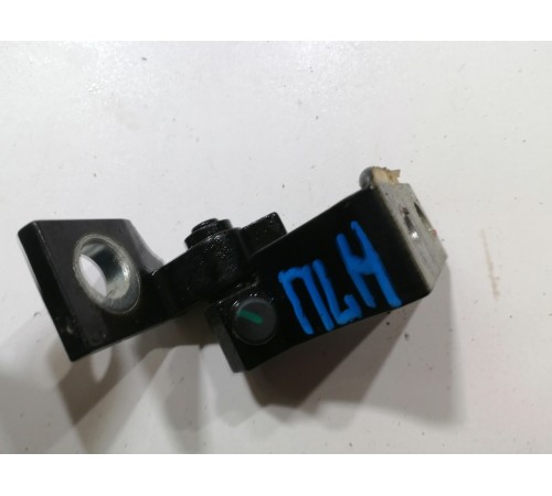 Петля двери передняя левая нижняя