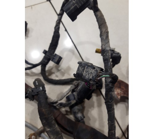 Электропроводка моторная