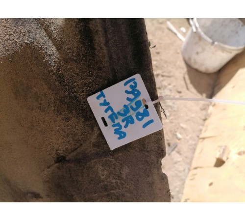 Подкрылок задний правый,локер