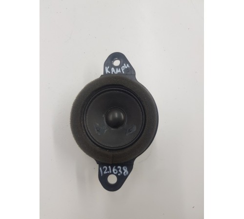 Динамик торпедо