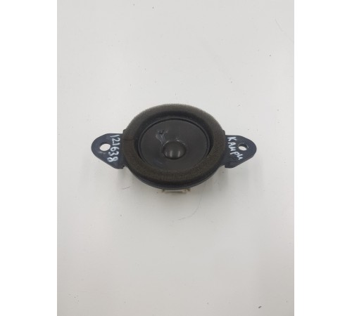 Динамик торпедо