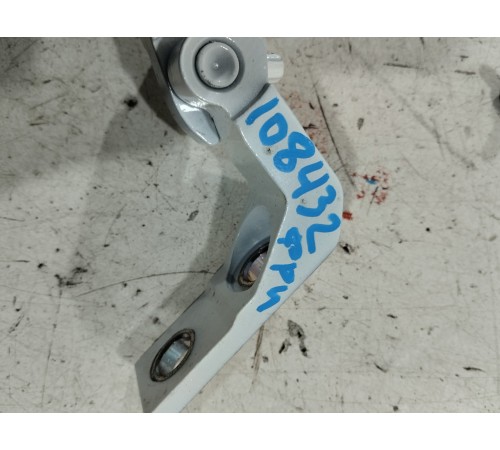 Петля двери(задняя левая нижняя)