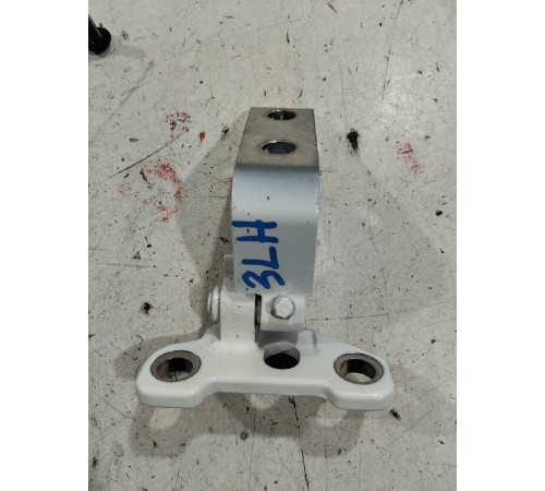 Петля двери(задняя левая нижняя)