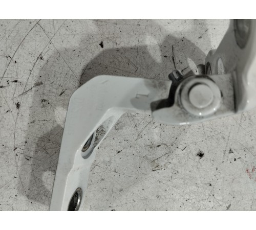 Петля двери(задняя левая нижняя)