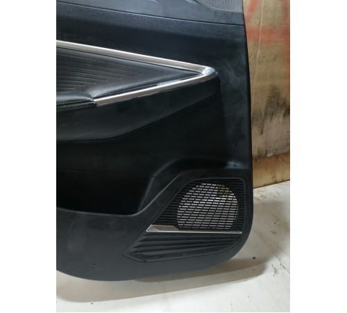 Обшивка двери задняя левая