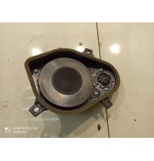 Динамик в торпедо