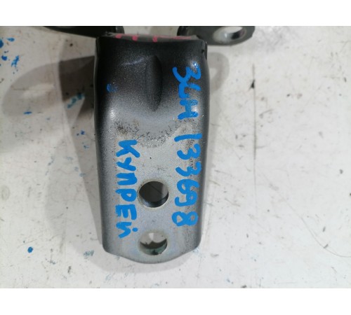 Петля двери задняя левая нижняя