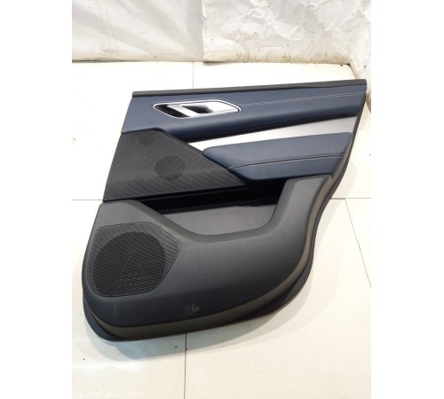 Обшивка двери (задняя, правая) (с подсветкой)