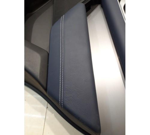 Обшивка двери (задняя, правая) (с подсветкой)