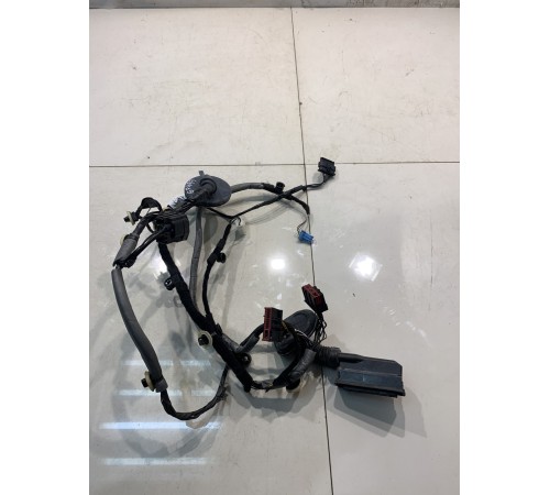 Электропроводка двери (задняя, левая)