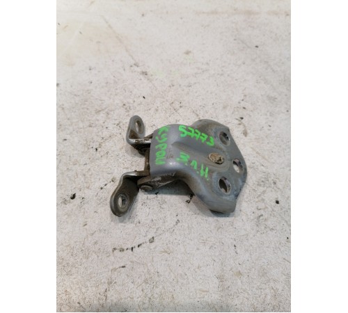 Петля двери задняя левая нижняя