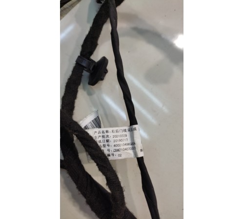 Электропроводка двери (задняя, правая)