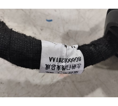 Электропроводка двери передняя левая