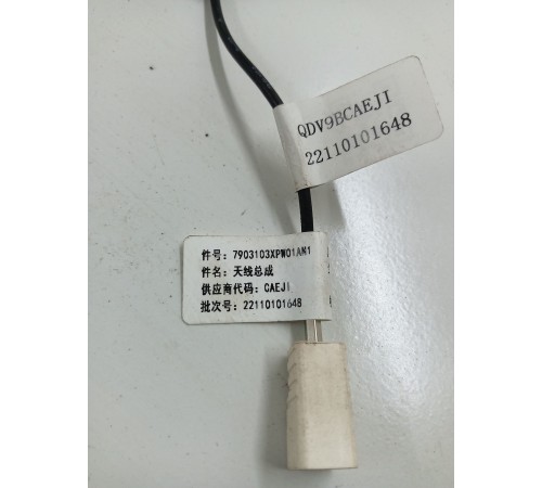 Антенна (плавник)