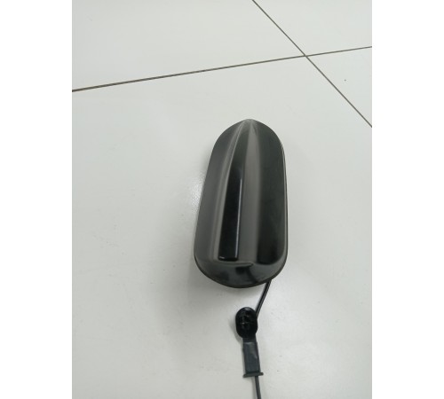 Антенна (плавник)