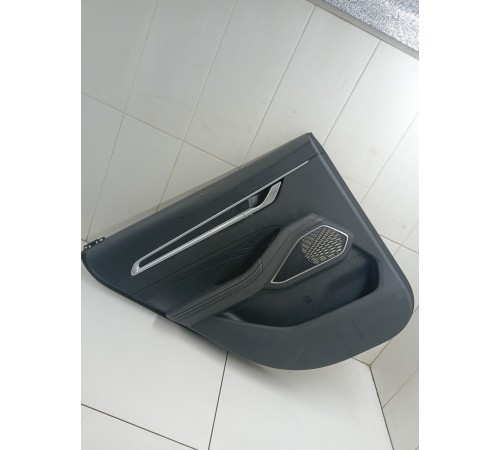 Обшивка двери задняя левая