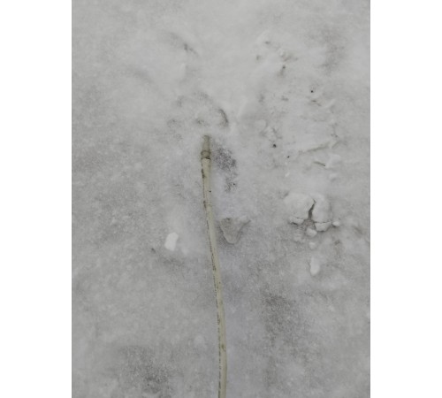 Топливная трубка (топливопровод)