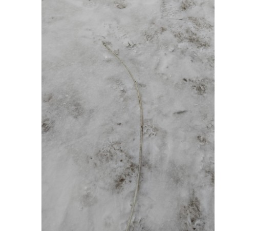 Топливная трубка (топливопровод)