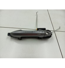 Ручка двери передняя левая (наружная)