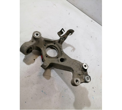 Кулак задний левый