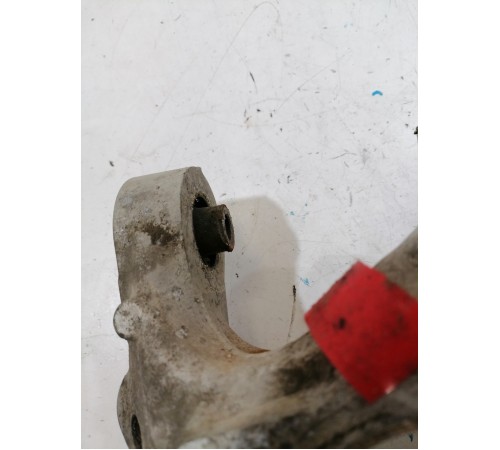 Кулак задний левый