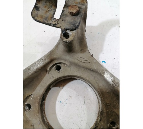 Кулак задний левый